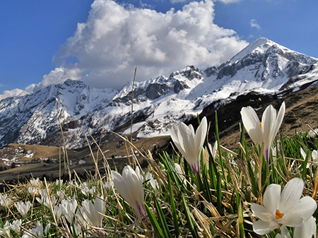 PASSO SAN SIMONE e FORCELLA ROSSA da San Simone-Baita Camoscio - 27apr22- FOTOGALLERY